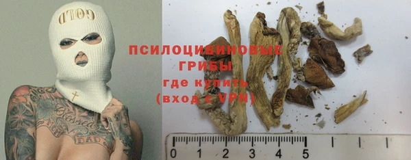mix Мегион