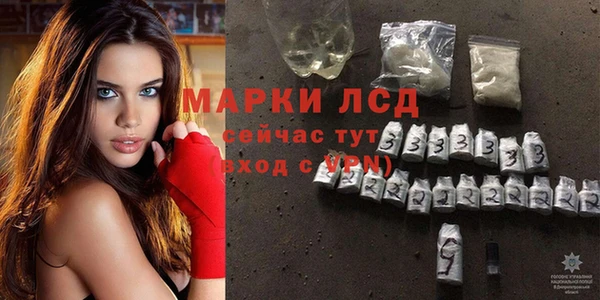 трава Магас