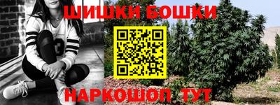 бутират Кингисепп
