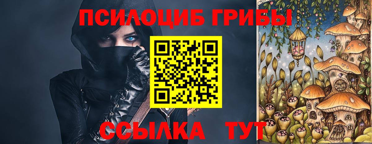 Псилоцибиновые грибы Psilocybe  Вход с VPN  Людиново  купить наркотик  Галлюциногенные грибы Cubensis 