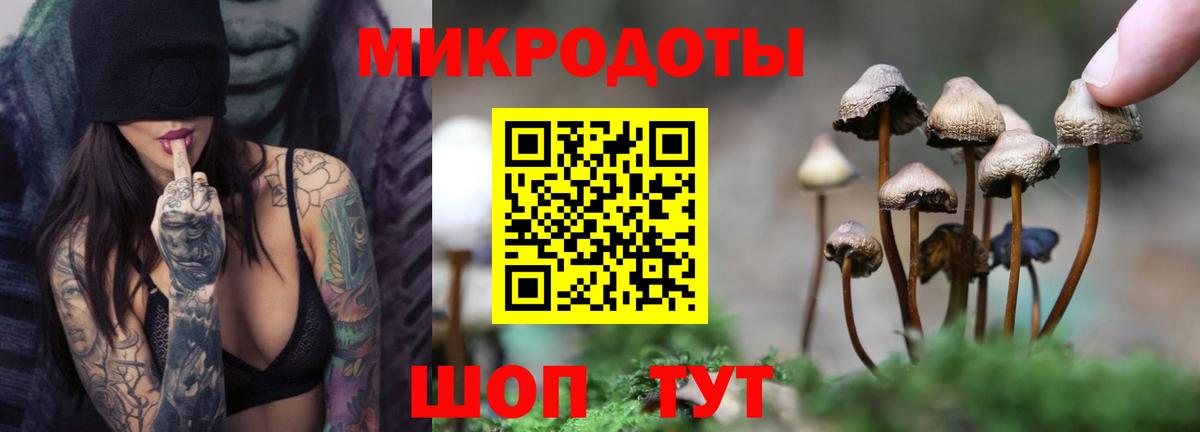 Псилоцибиновые грибы Cubensis Людиново