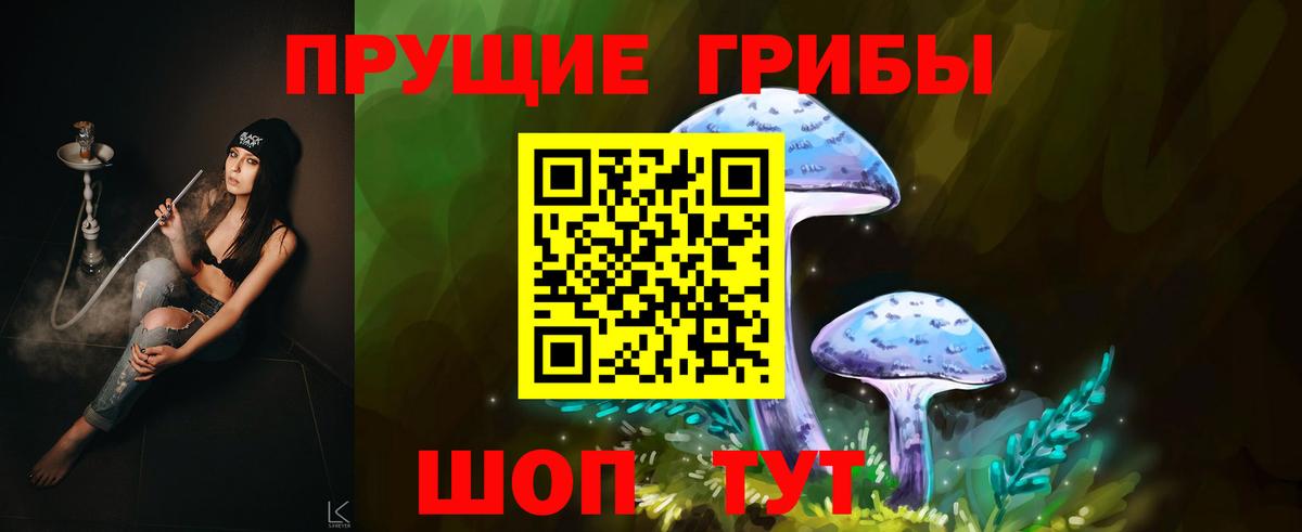 Галлюциногенные грибы прущие грибы Людиново